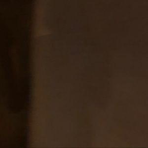 Meet your Posher, Wendy